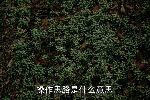 股票操作思路是什么意思，思路是什么意思