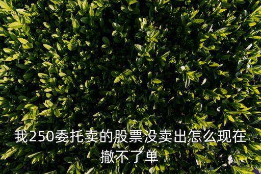 我250委托卖的股票没卖出怎么现在撤不了单