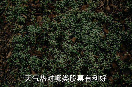 夏季一般什么股票好，天气热对哪类股票有利好