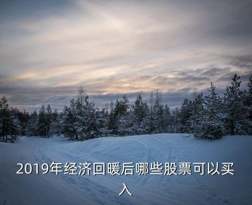 2019年经济回暖后哪些股票可以买入
