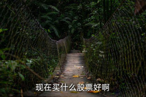 现在买什么股票好啊
