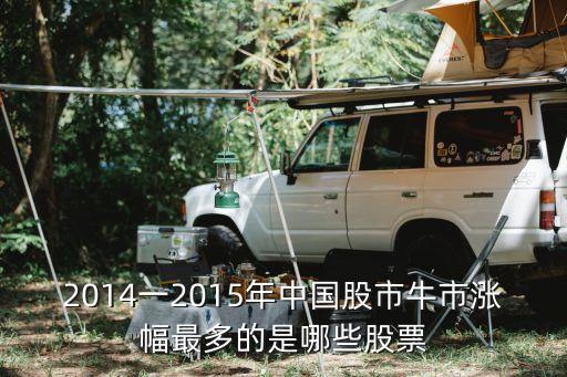 2014一2015年中国股市牛市涨幅最多的是哪些股票