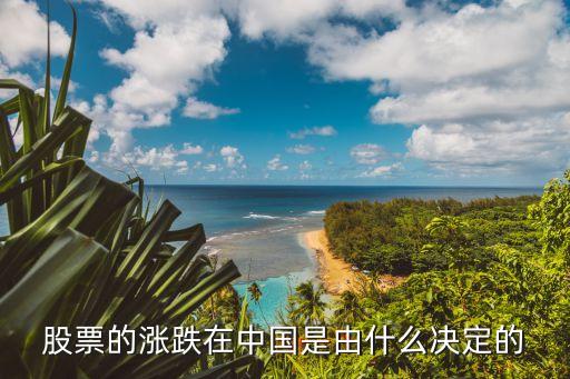 股票的涨跌在中国是由什么决定的