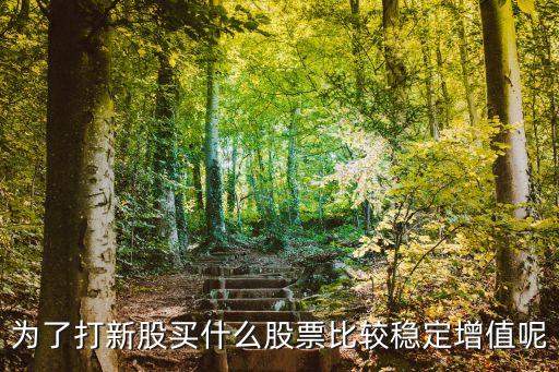 打新股买什么股票，打新股配市值买什么股票最安全可靠