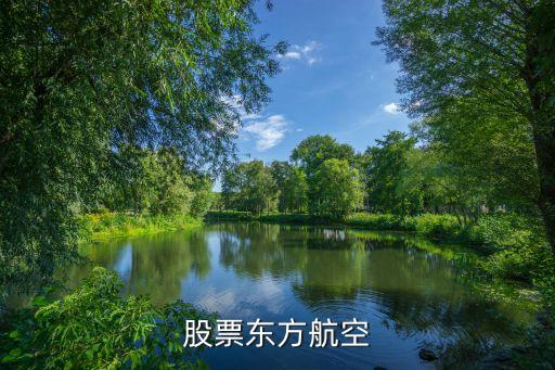 飞机安全检测的股票叫什么，民航概念股有哪些