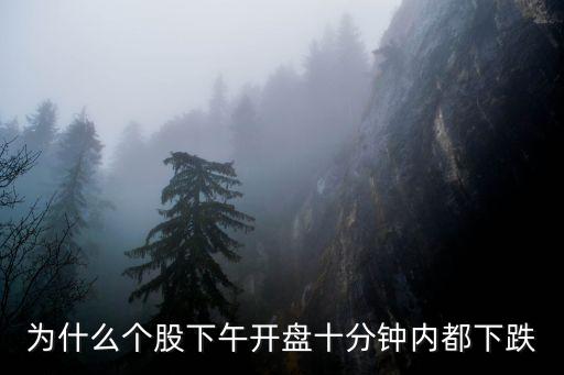 为什么个股下午开盘十分钟内都下跌