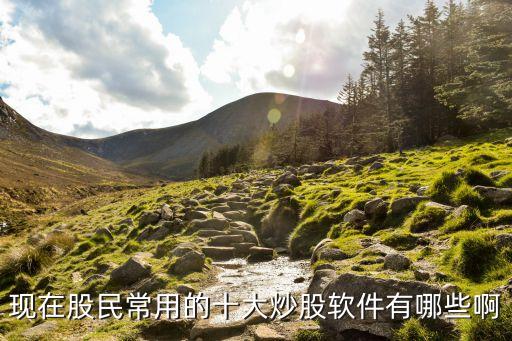 现在股民常用的十大炒股软件有哪些啊