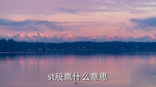 st股票什么意思