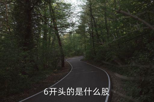 6开头的是什么股