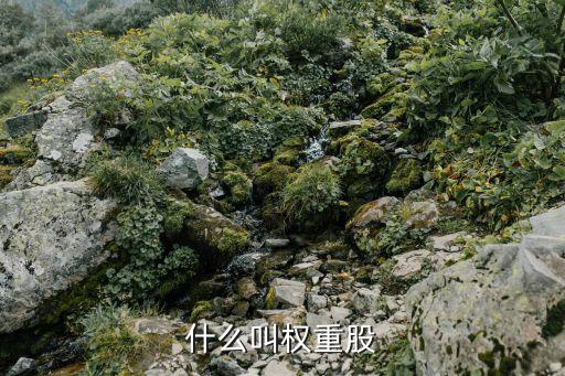 权重是什么股票，什么是权重股