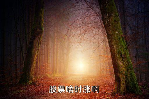 股票啥时涨啊