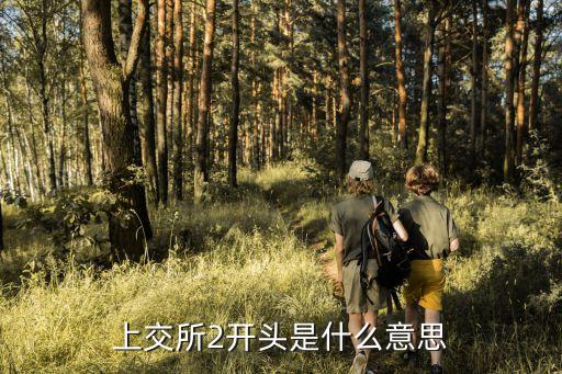 上交所2开头是什么意思