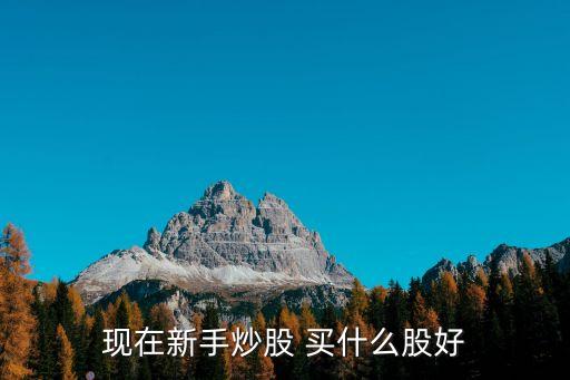 现在新手炒股 买什么股好