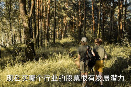 现在买什么行业的股票好，最近哪个行业的股票最好