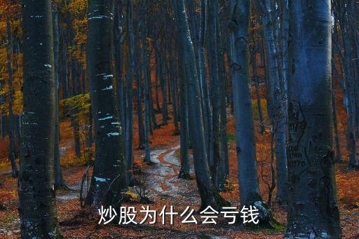 炒股为什么会亏钱