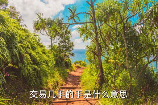 交易几手的手是什么意思