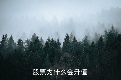 股票为什么会升值