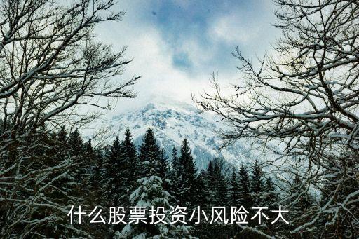 什么股票风险小又安全稳定，现在什么股票比较稳定
