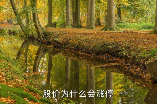股价为什么会涨停