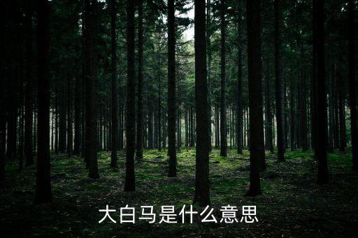 大白马是什么意思