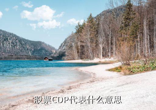 股票CDP代表什么意思