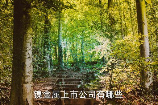 有什么股票是镍矿的，镍矿概念股有哪些