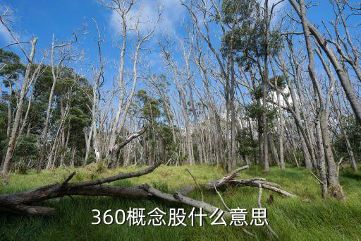 360概念股什么意思