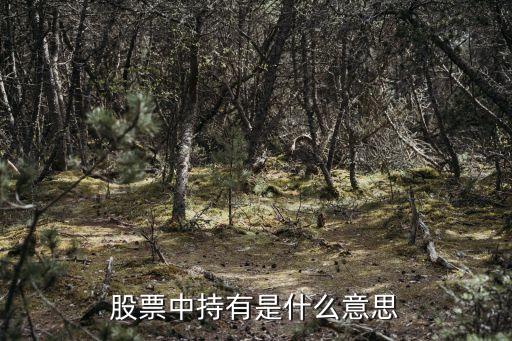 什么是持有股票，股票中持有是什么意思
