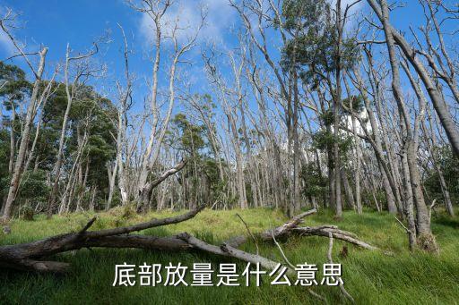 底部放量是什么意思