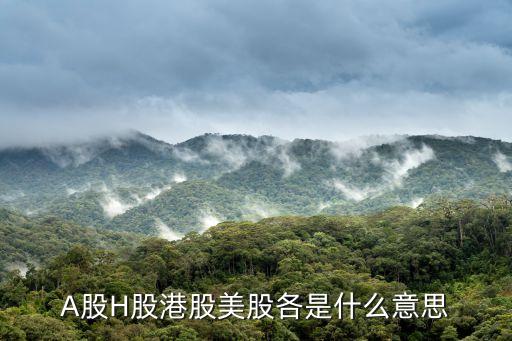 A股H股港股美股各是什么意思