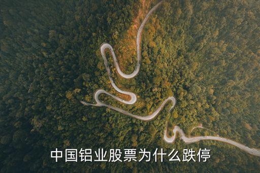 铝材股票为什么跌2022，中国铝业股票为什么跌停