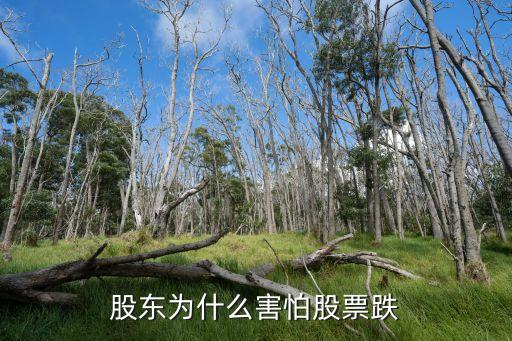 股东为什么害怕股票跌