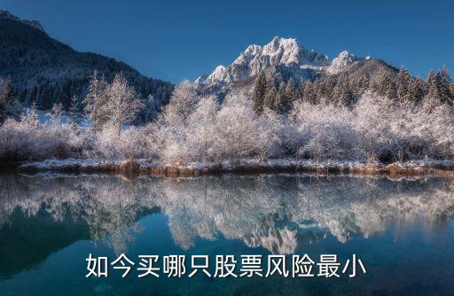 什么股票最难猜，如今买哪只股票风险最小