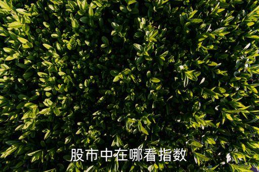 股市中在哪看指数