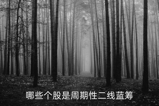 哪些个股是周期性二线蓝筹