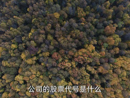 公司的股票代号是什么