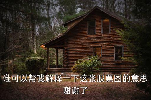 谁可以帮我解释一下这张股票图的意思谢谢了