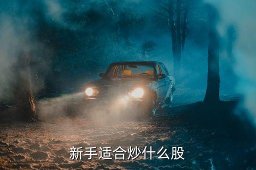 新手适合炒什么股