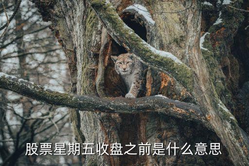 股票星期五收盘之前是什么意思