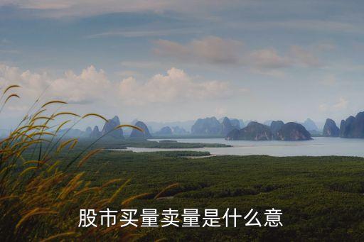 股票买量卖量什么意思，股市买量卖量是什么意