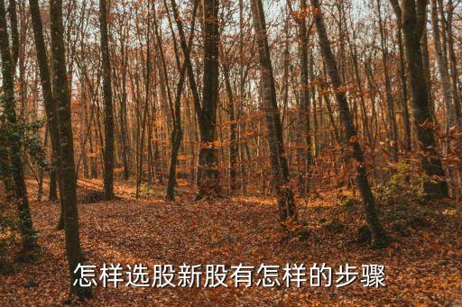 怎样选股新股有怎样的步骤