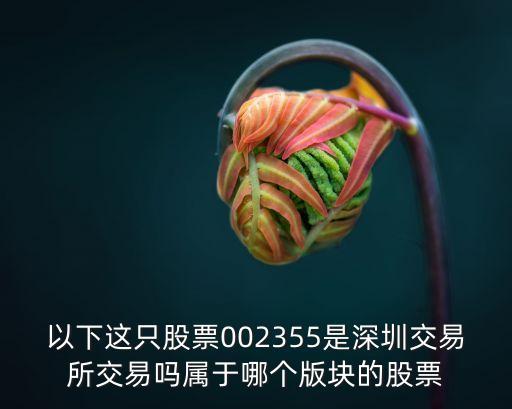 以下这只股票002355是深圳交易所交易吗属于哪个版块的股票