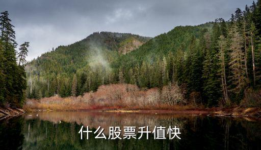 什么股票升值快