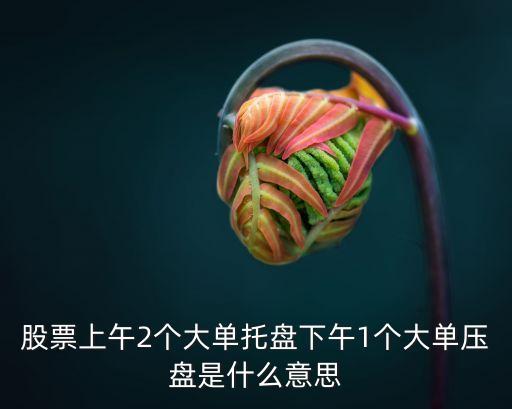 股票上午2个大单托盘下午1个大单压盘是什么意思