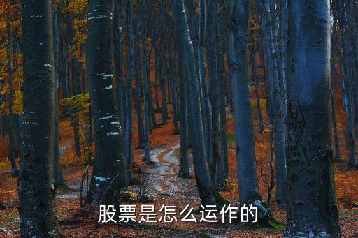股票是怎么运作的