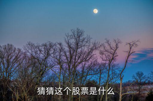 猜猜这个股票是什么