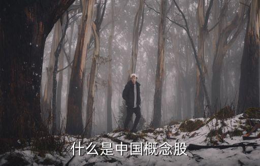 什么股票属于中概股票，中概股是什么