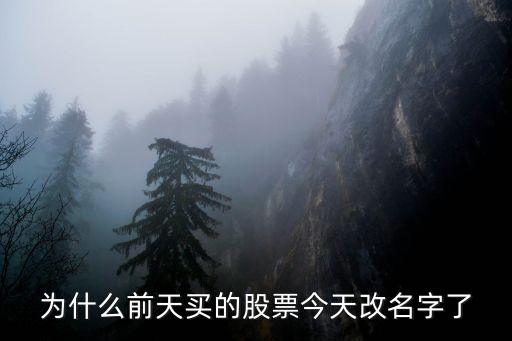 为什么股票名称会变动，这个股票为什么改名字了