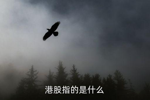 港股指的是什么