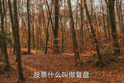 股票复盘是什么工作内容，股票复盘什么意思